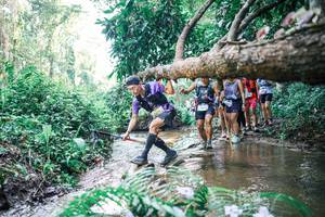 BIB: 
                            <button type="button" onclick="openModal(25466952)" class="btn btn-primary btn-sm float-right btn-popup" data-toggle="modal" data-target=".modal-high-quality">
                        <i class="fas fa-shopping-cart"></i> Add to Cart
                    </button>
                                            <button type="button" onclick="isThisMe(25466952, true)" class="btn btn-success btn-sm float-right btn-popup btn-isme hidden" data-toggle="tooltip" data-placement="bottom" title="นี่คือรูปของคุณใช่ไหม คลิกที่นี่เพื่อเอาเข้าอัลบั้ม">
                        <i class="fas fa-plus"></i> Add to album
                    </button>
                    <button type="button" onclick="isThisMe(25466952, false)" class="btn btn-warning btn-sm float-right btn-popup btn-isnotme hidden">
                        <i class="fas fa-ban"></i> Remove from album
                    </button>